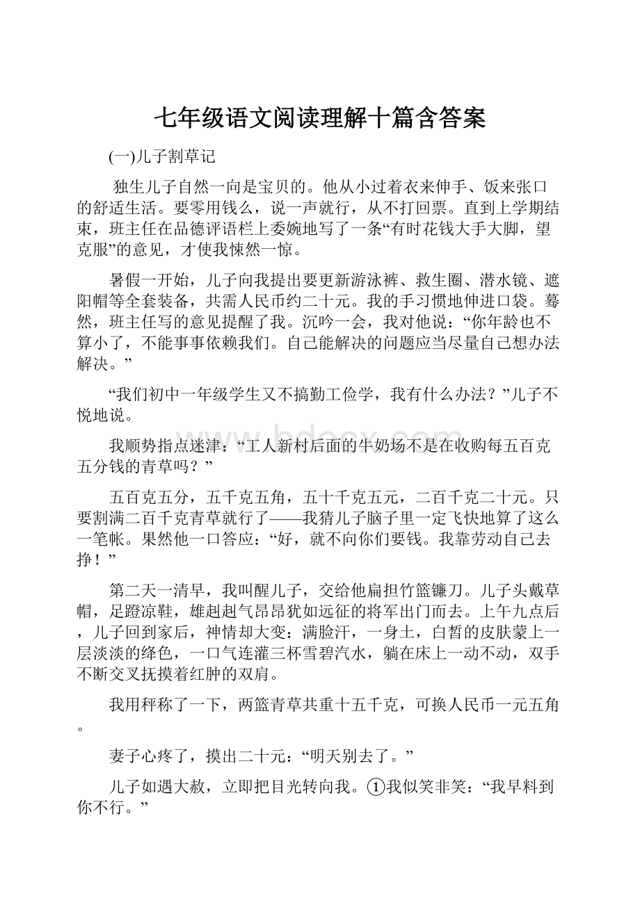 七年级语文阅读理解十篇含答案.docx