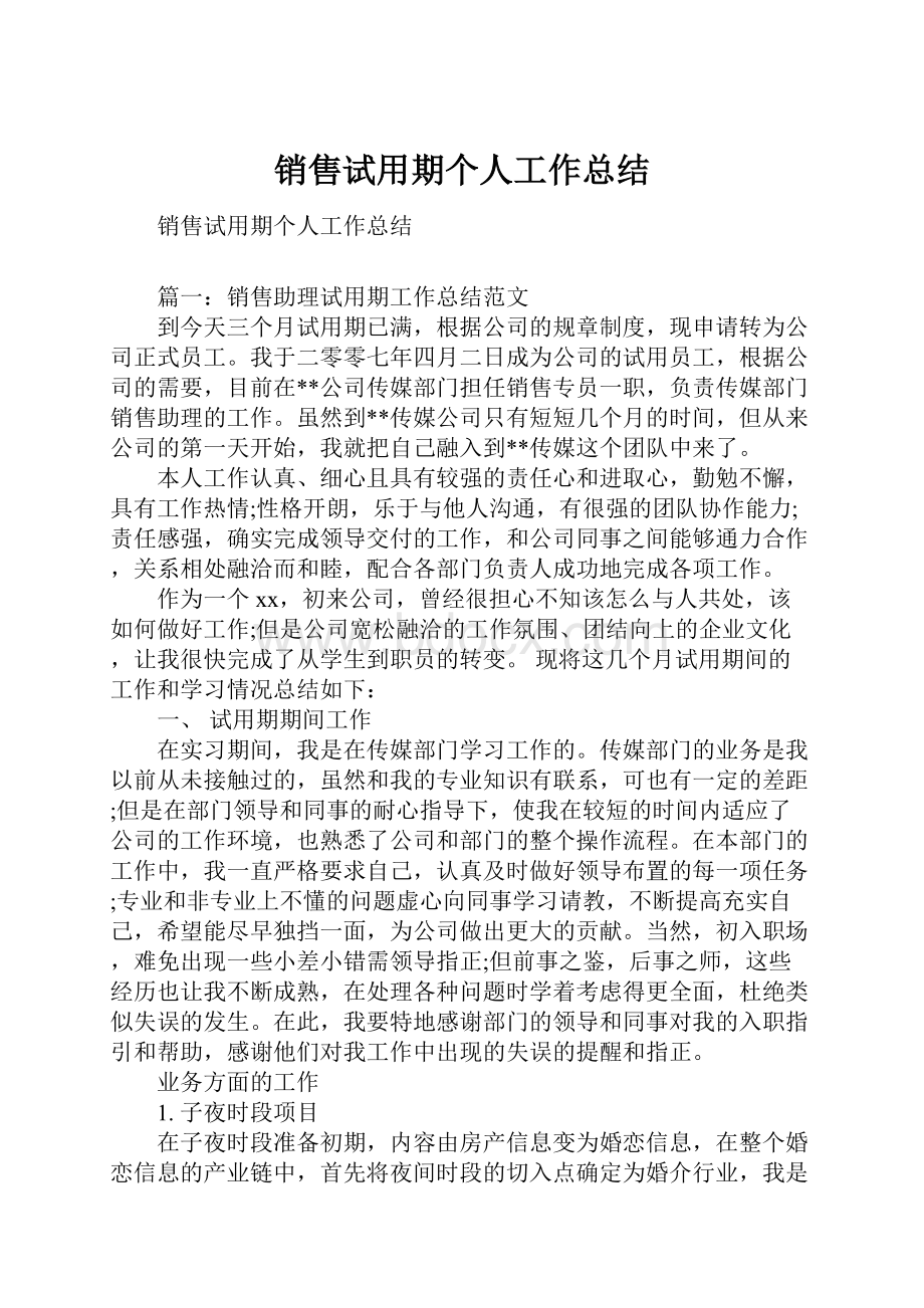 销售试用期个人工作总结.docx