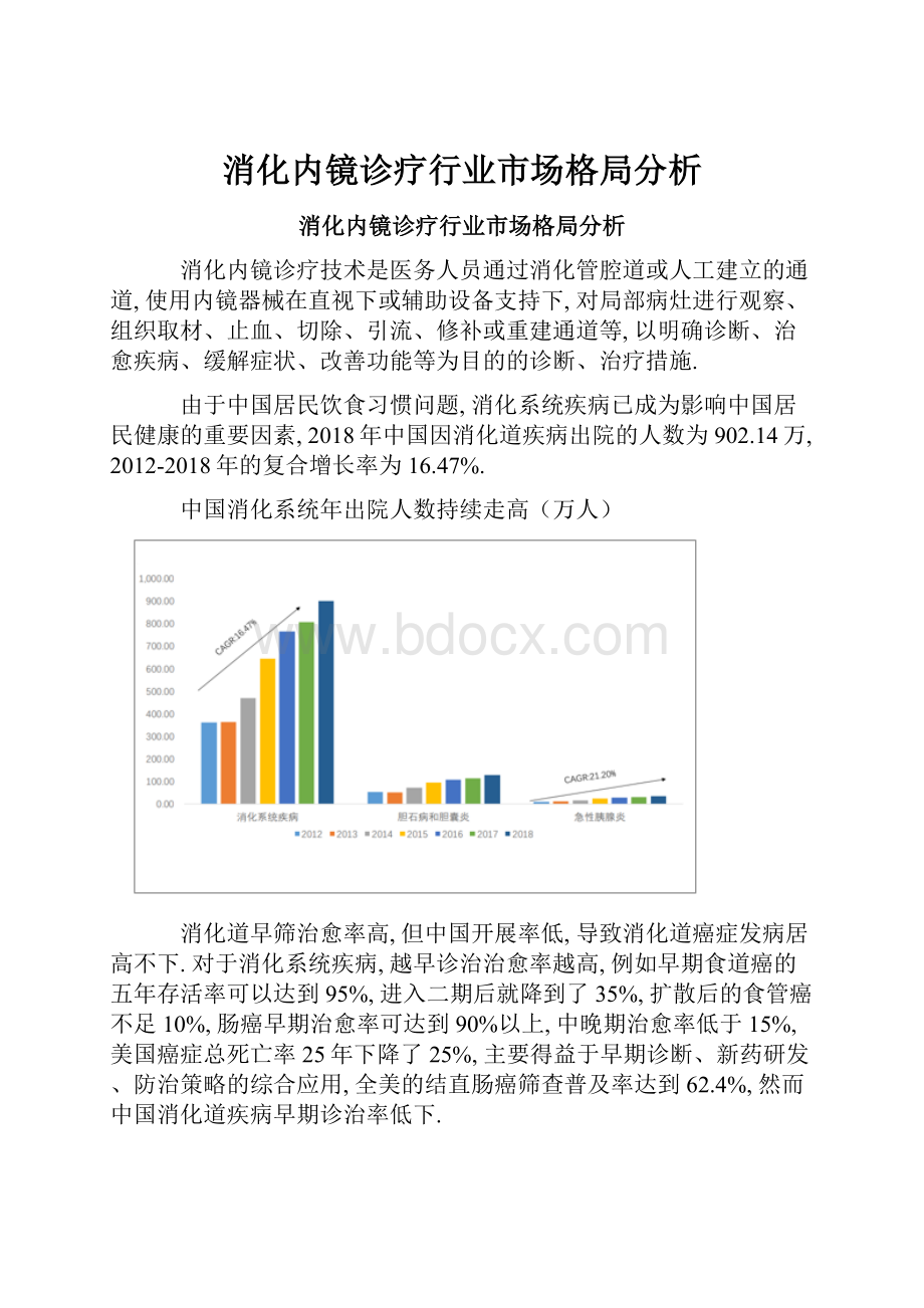 消化内镜诊疗行业市场格局分析.docx_第1页