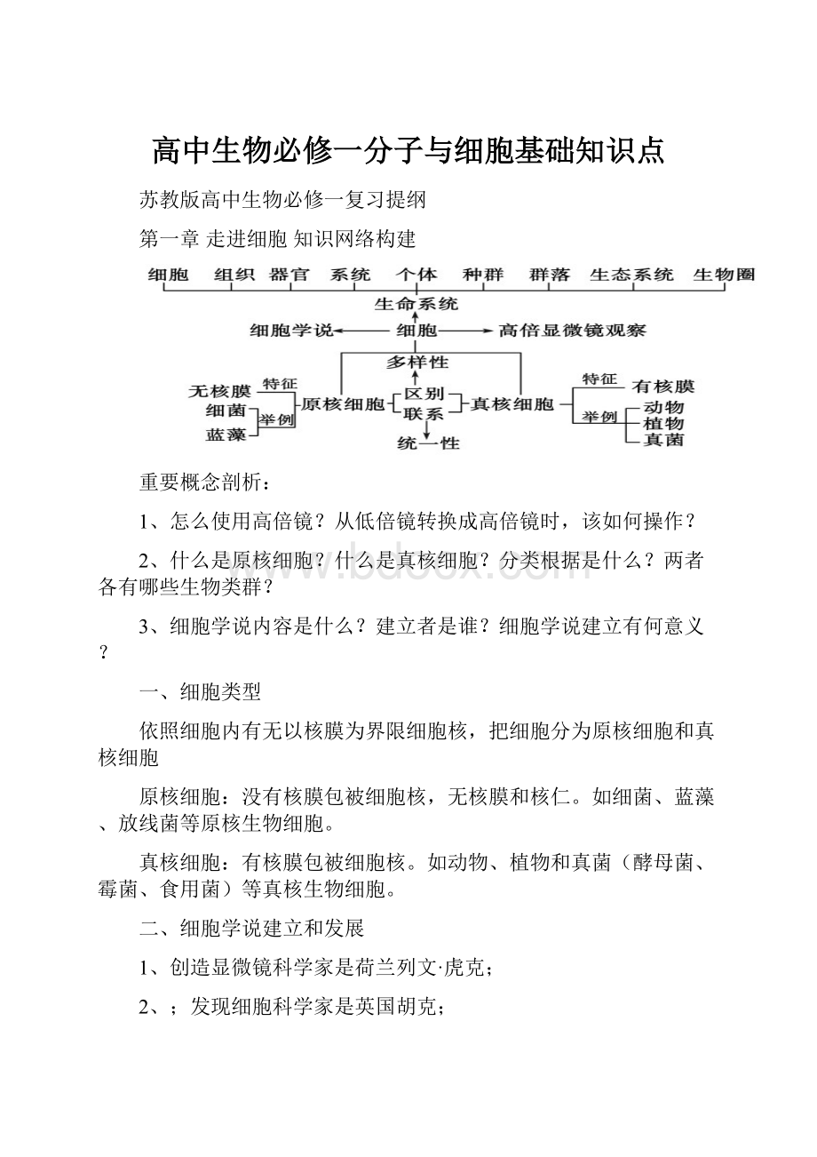 高中生物必修一分子与细胞基础知识点.docx_第1页