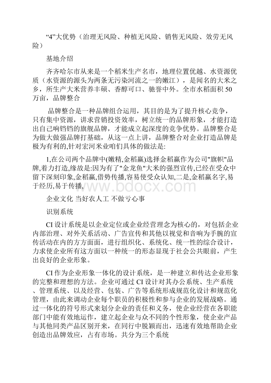 齐齐哈尔宏河米业企划总案.docx_第2页