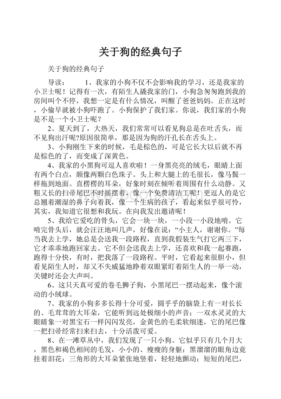 关于狗的经典句子.docx