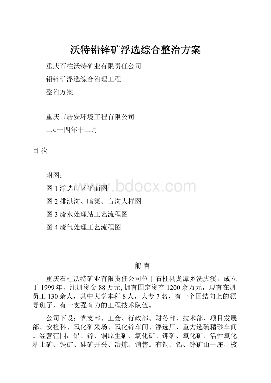 沃特铅锌矿浮选综合整治方案.docx