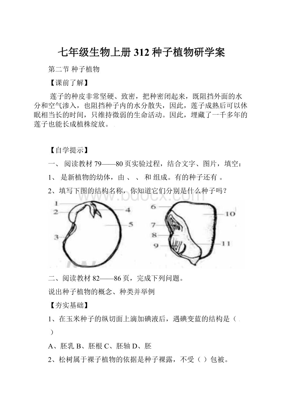 七年级生物上册312种子植物研学案.docx