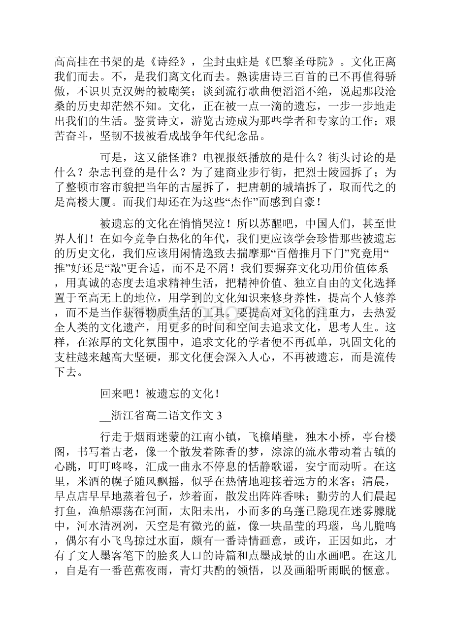 浙江省高二语文作文.docx_第3页