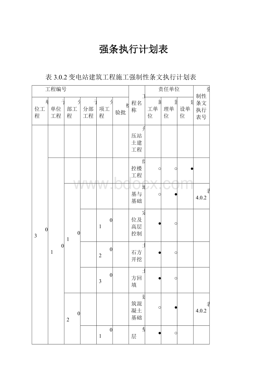 强条执行计划表.docx