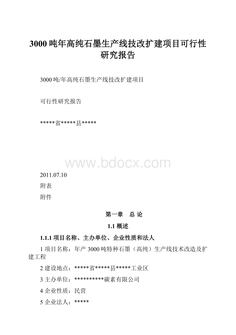 3000吨年高纯石墨生产线技改扩建项目可行性研究报告.docx_第1页