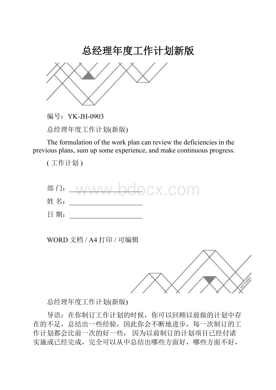 总经理年度工作计划新版.docx