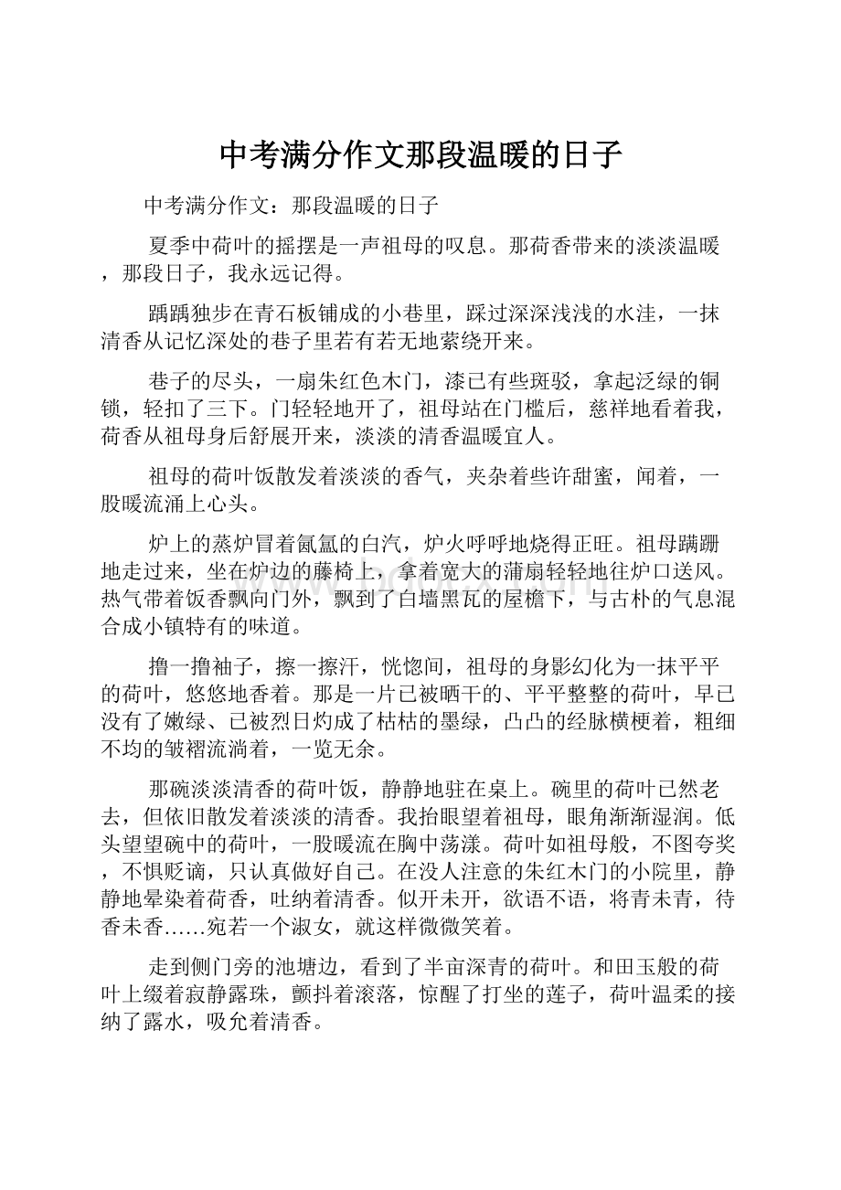 中考满分作文那段温暖的日子.docx