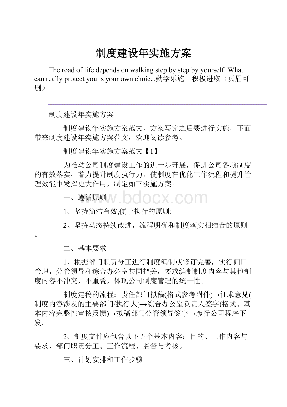 制度建设年实施方案.docx