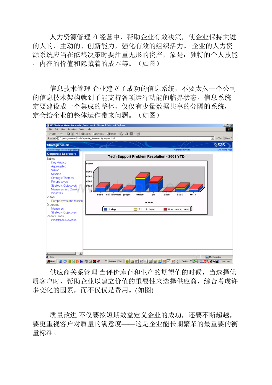 sasspm企业绩效管理解决方案.docx_第3页