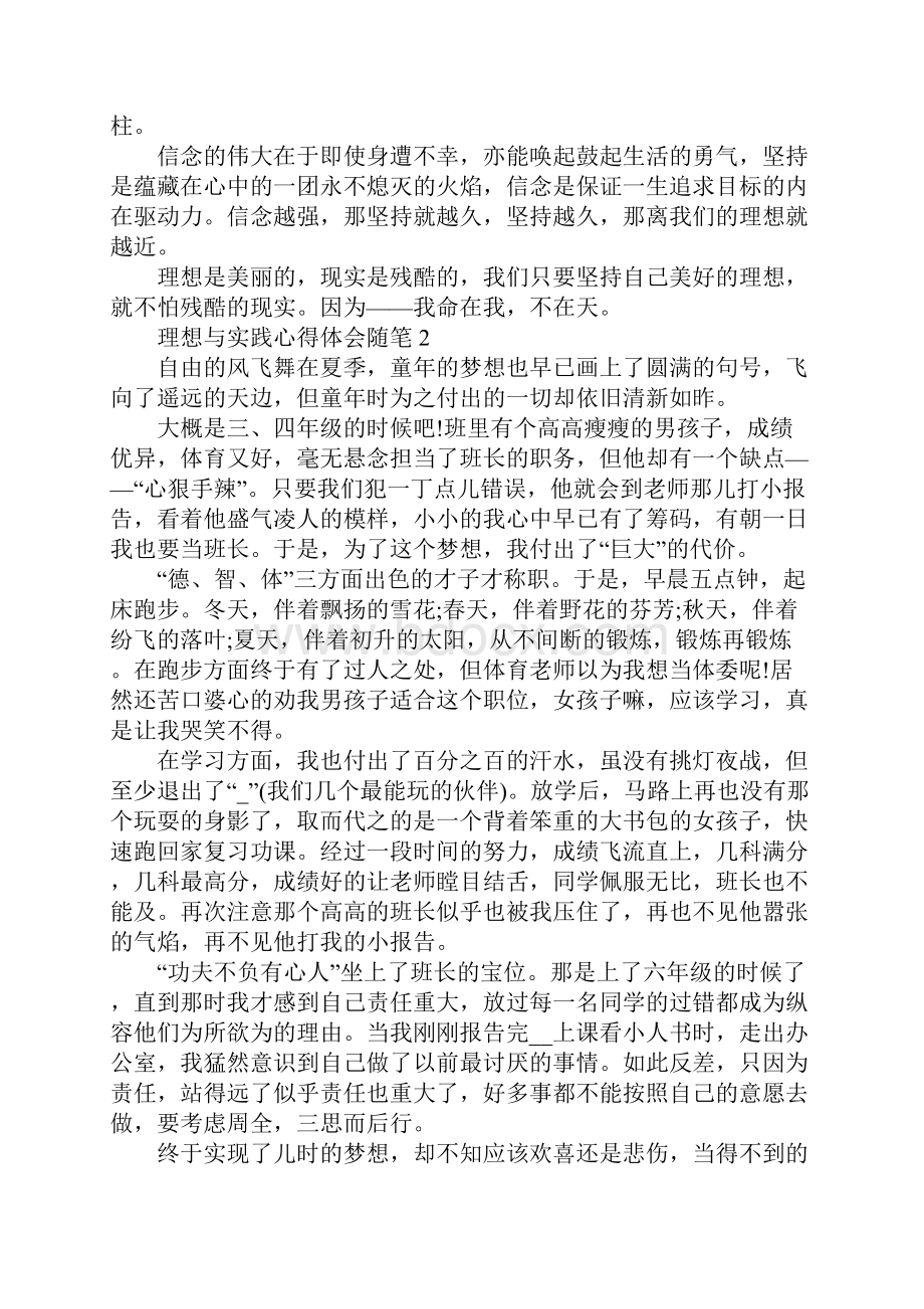 理想与实践心得体会随笔.docx_第3页