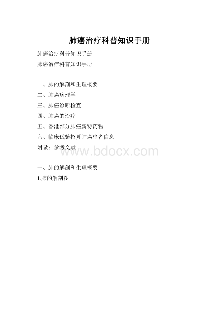 肺癌治疗科普知识手册.docx