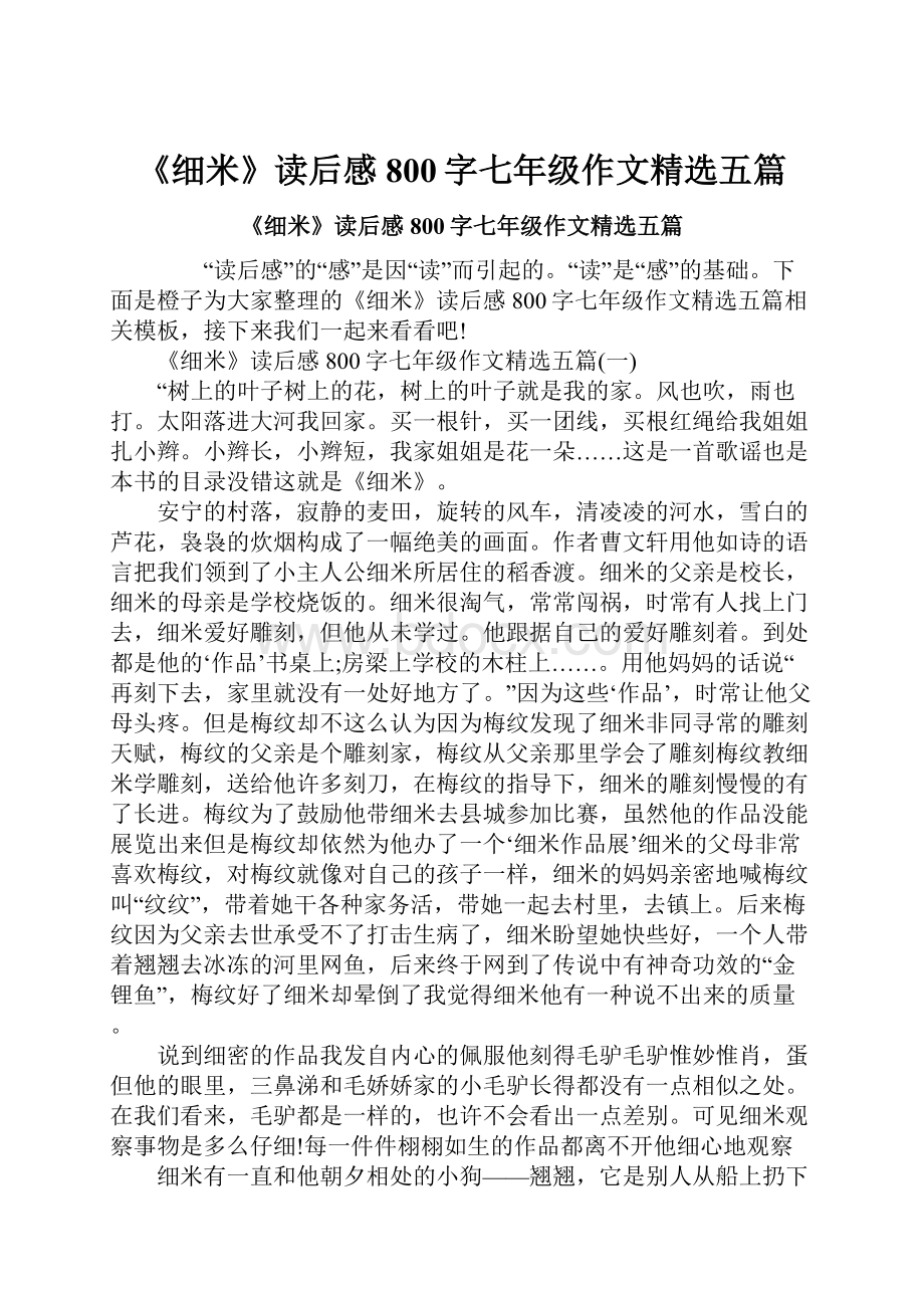 《细米》读后感800字七年级作文精选五篇.docx