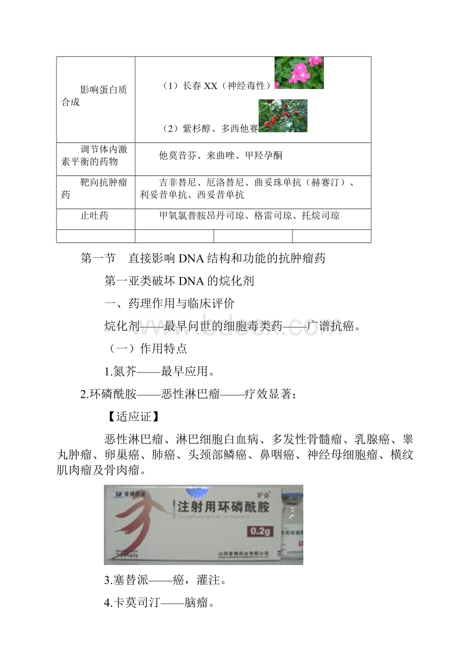 抗肿瘤药物的分类及用药注意事项.docx_第2页