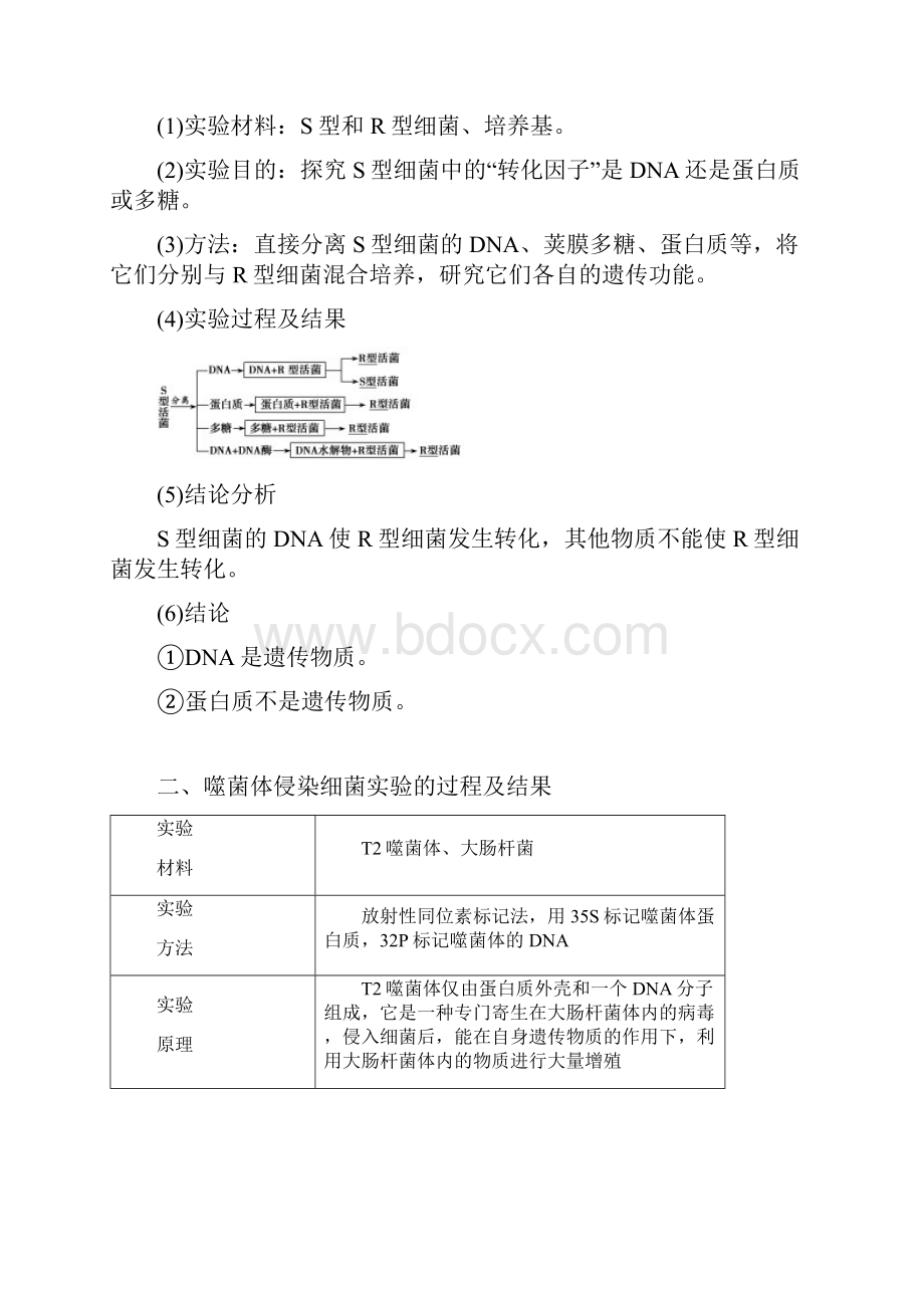 高考生物一轮复习第六单元遗传的分子基础第一讲DNA是主要的遗传物质学案新人教版.docx_第2页