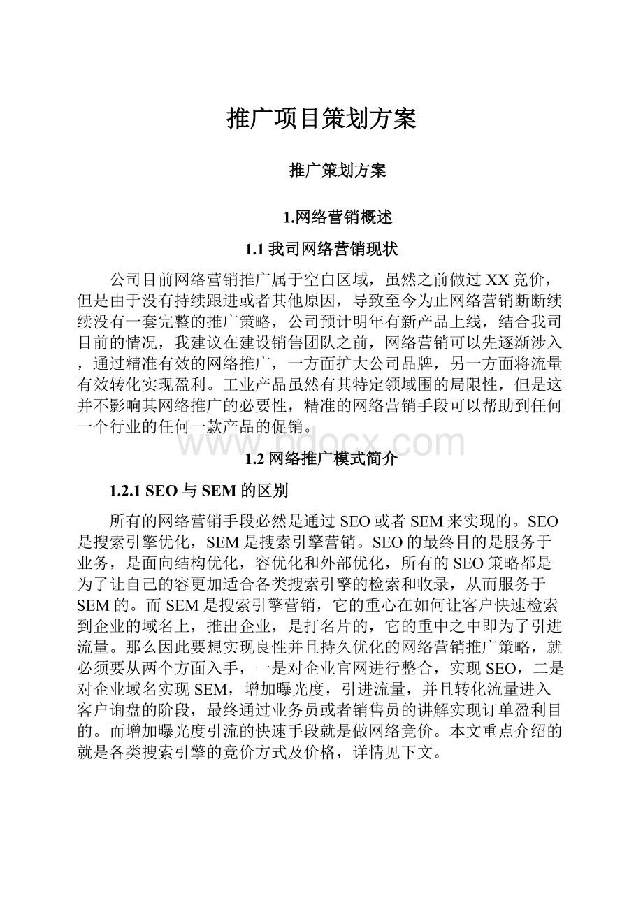 推广项目策划方案.docx