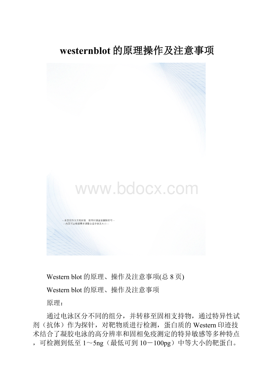 westernblot的原理操作及注意事项.docx