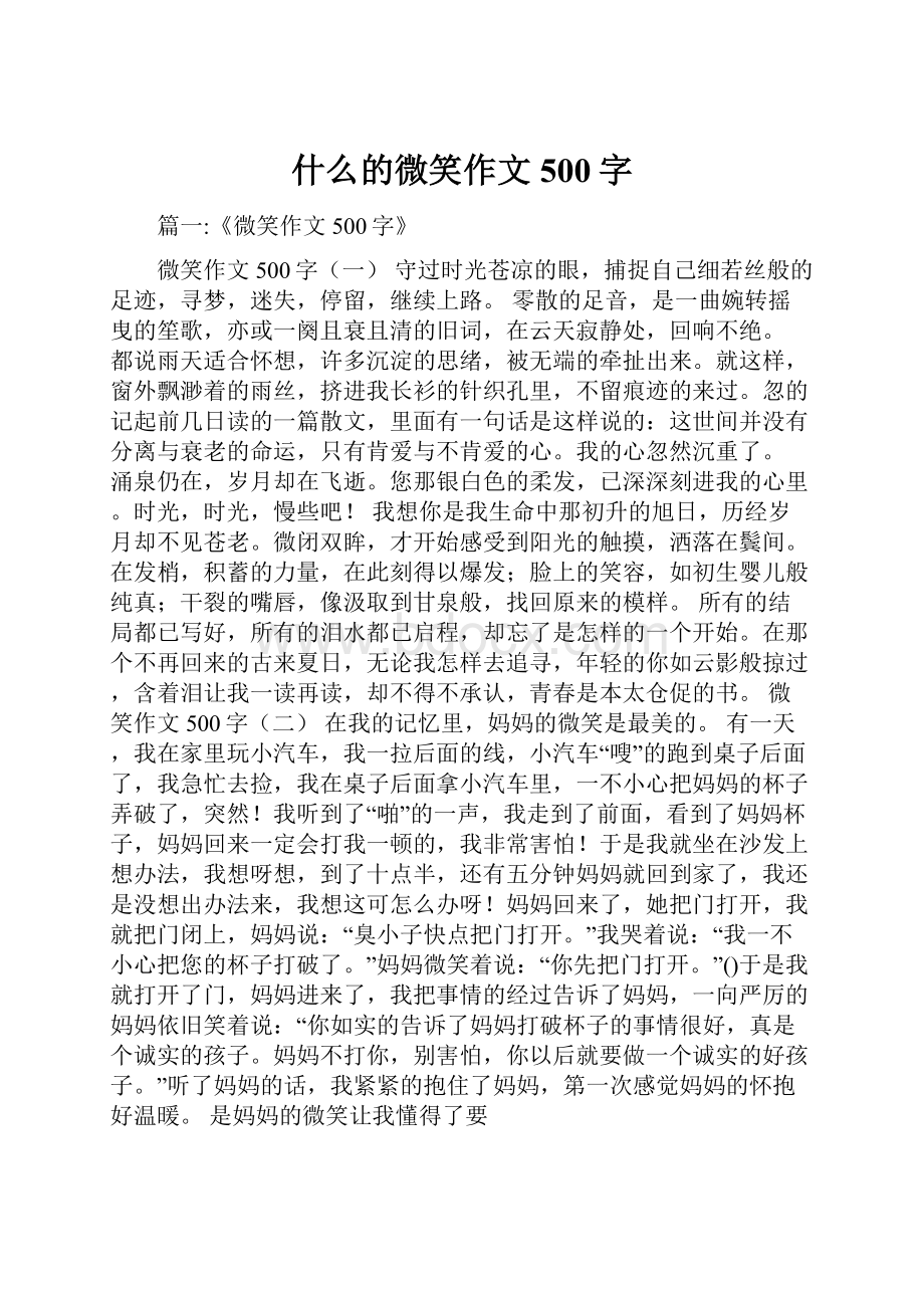 什么的微笑作文500字.docx