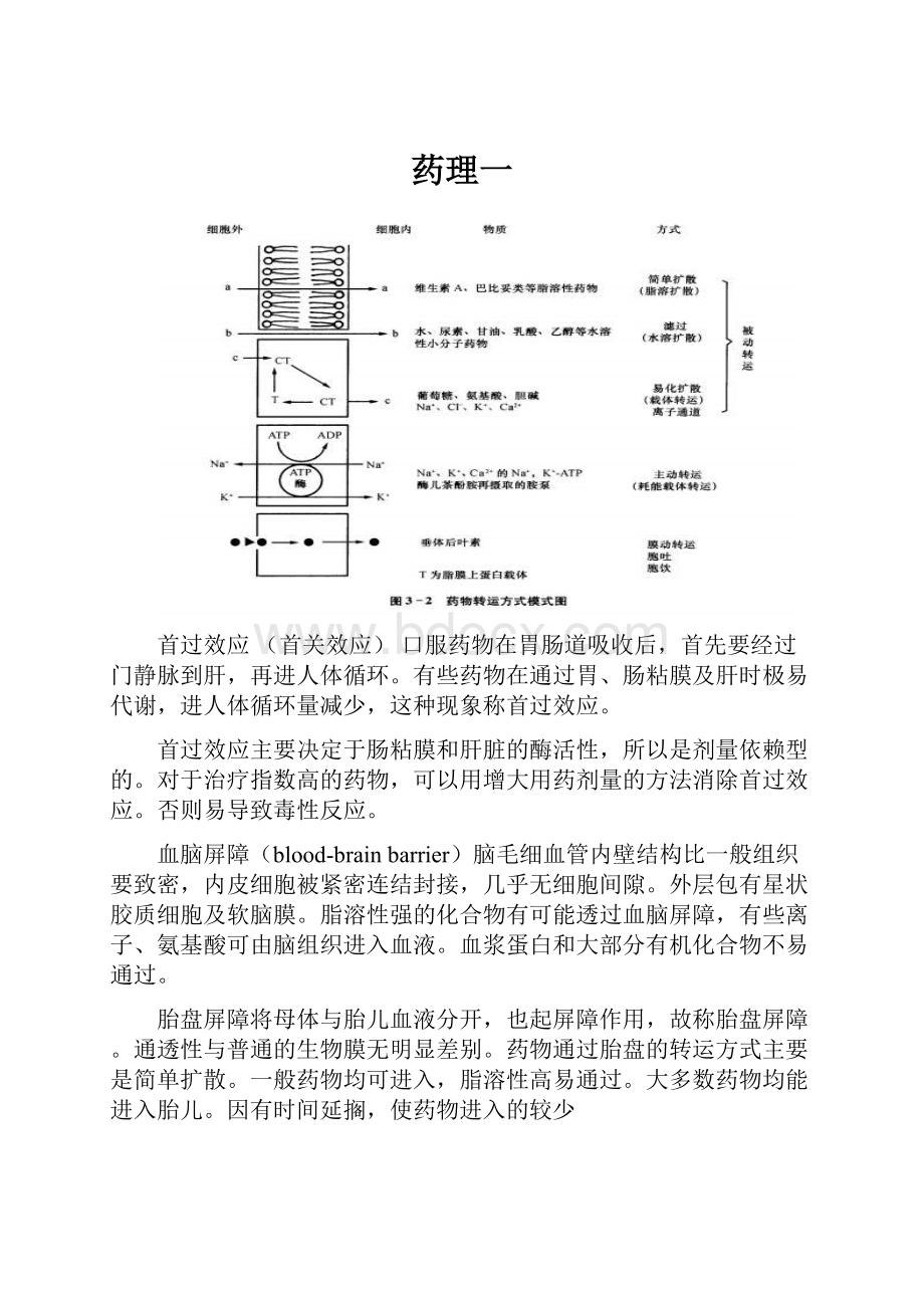 药理一.docx