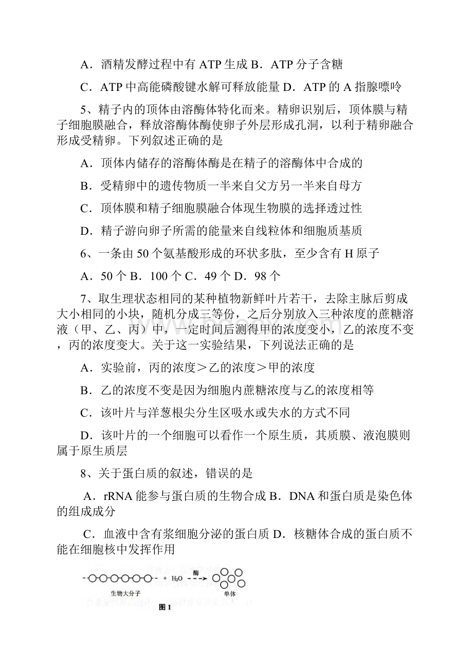 上海理工大学附属中学届高三摸底测试生物试题.docx_第2页