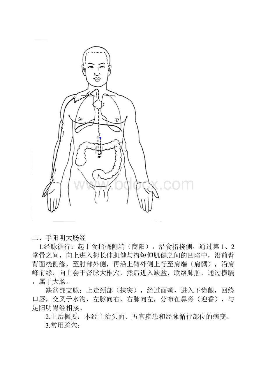 人体十四条经络.docx_第2页