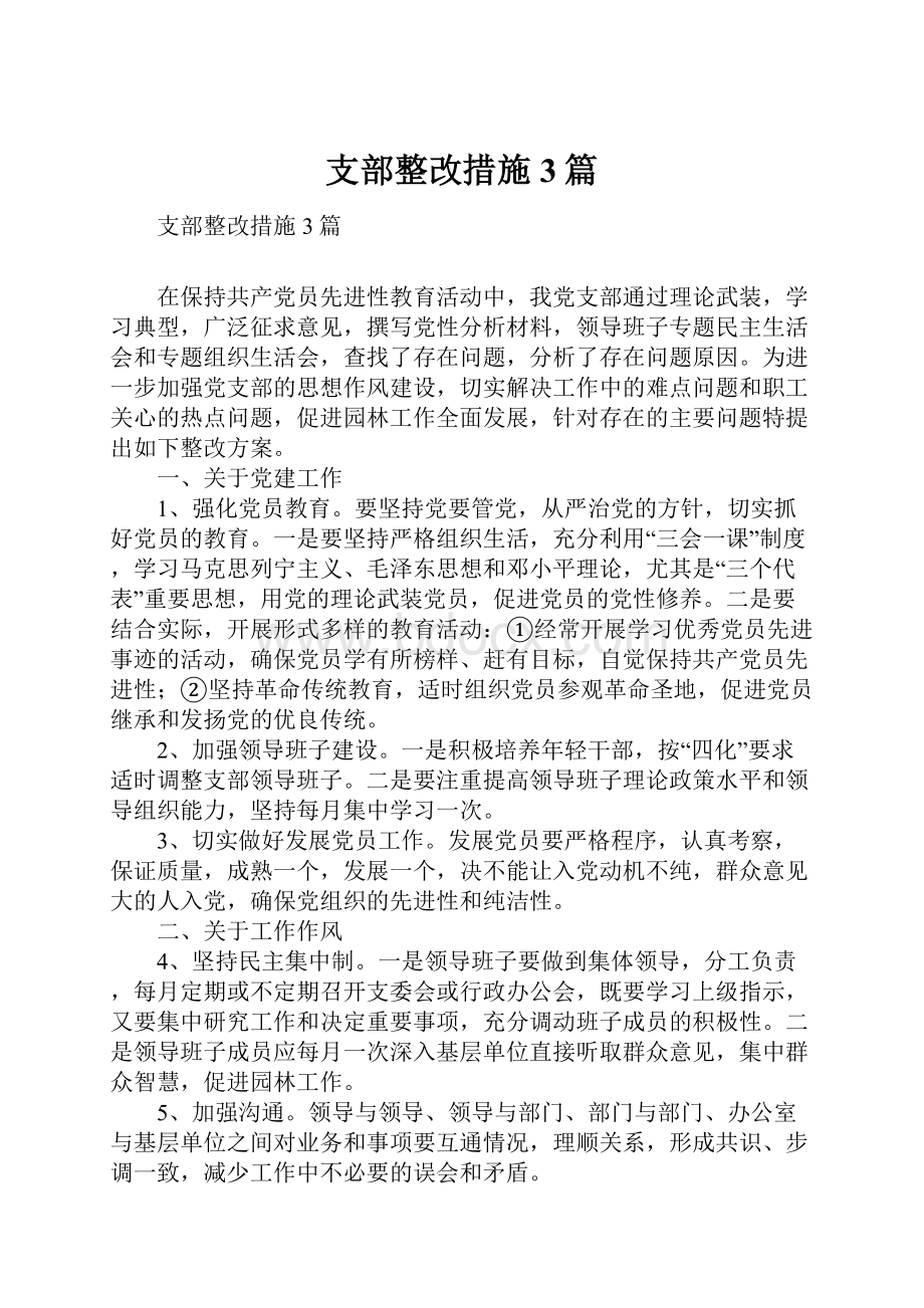 支部整改措施3篇.docx_第1页