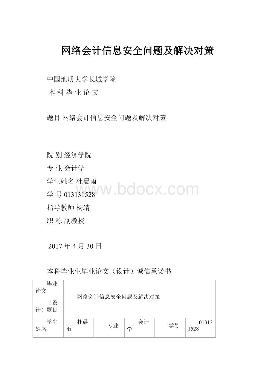 网络会计信息安全问题及解决对策.docx