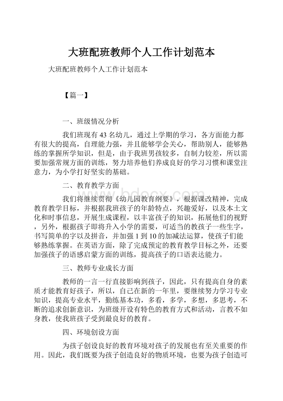 大班配班教师个人工作计划范本.docx