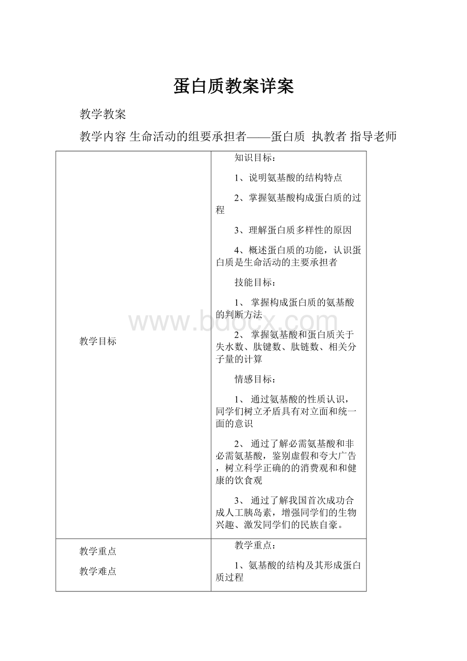 蛋白质教案详案.docx