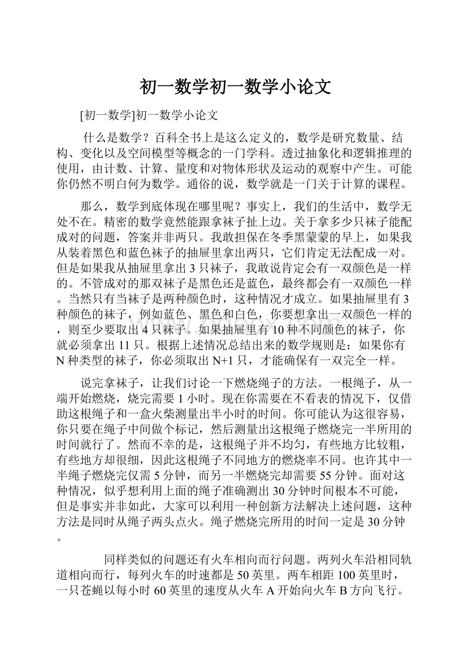 初一数学初一数学小论文.docx