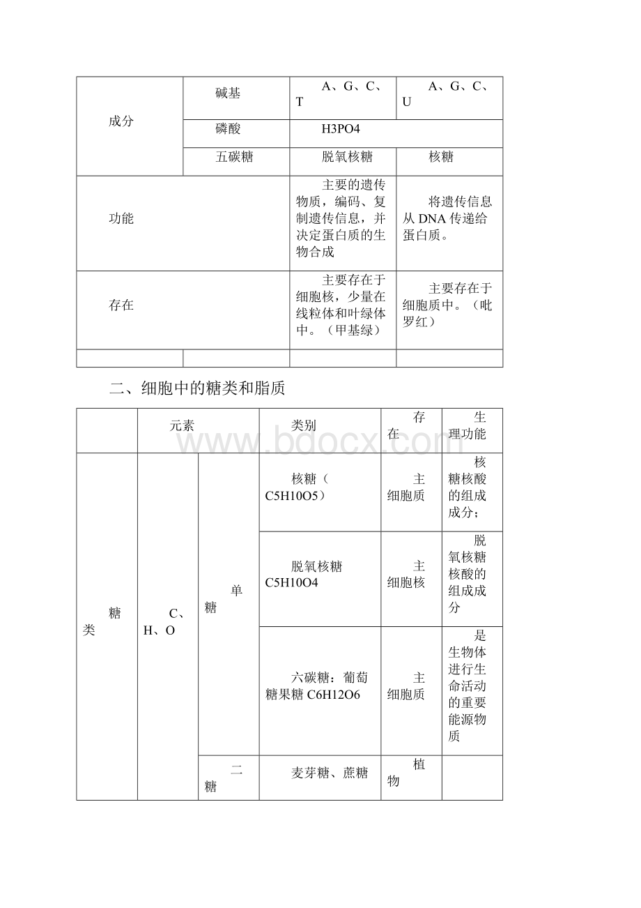 专题02细胞中的糖类脂质和核酸高中生物专题复习解析版.docx_第2页