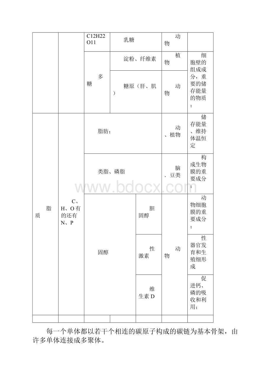 专题02细胞中的糖类脂质和核酸高中生物专题复习解析版.docx_第3页