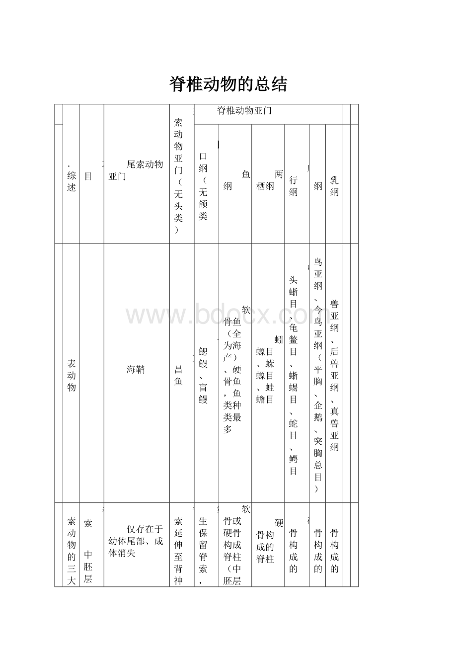 脊椎动物的总结.docx