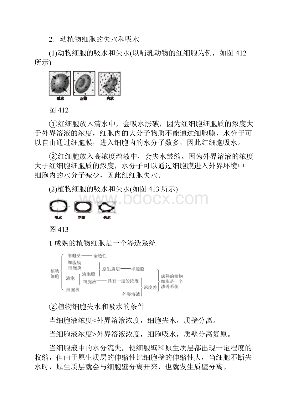 高中生物必修1第4章 第1节《物质跨膜运输的实例》word学案.docx_第3页