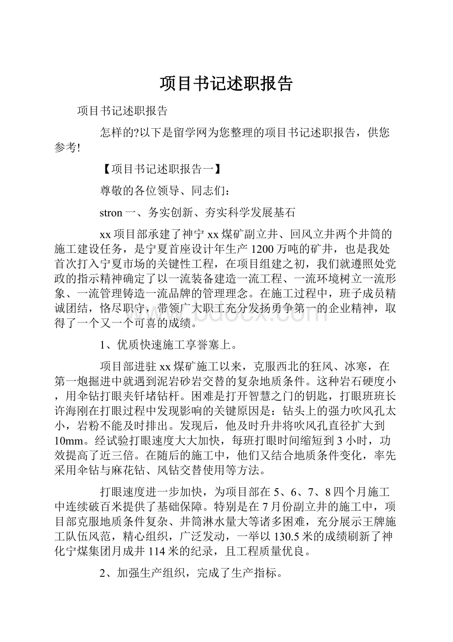 项目书记述职报告.docx_第1页