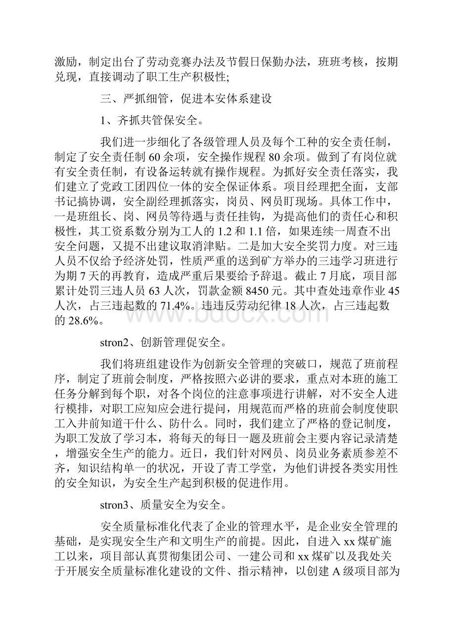 项目书记述职报告.docx_第3页