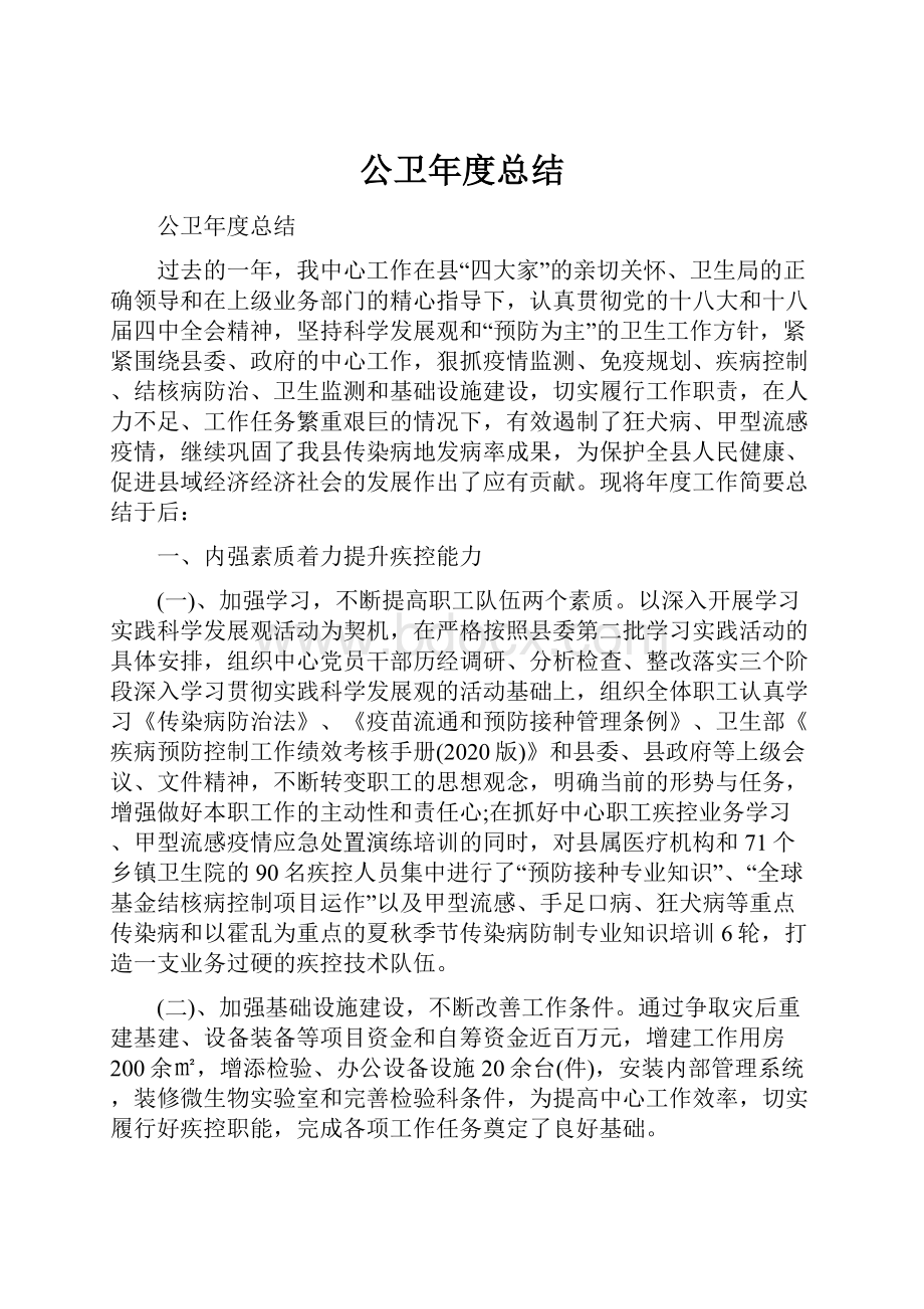 公卫年度总结.docx