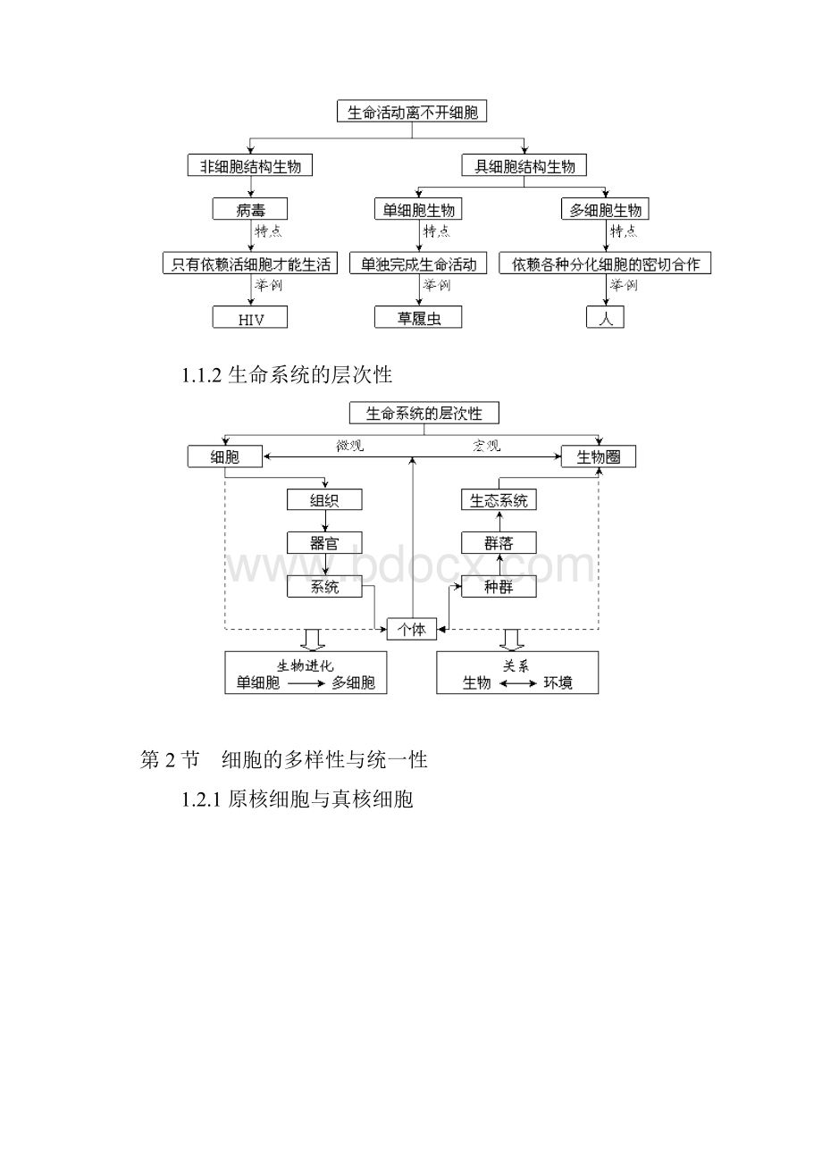 d高中生物必修一知识框架.docx_第2页