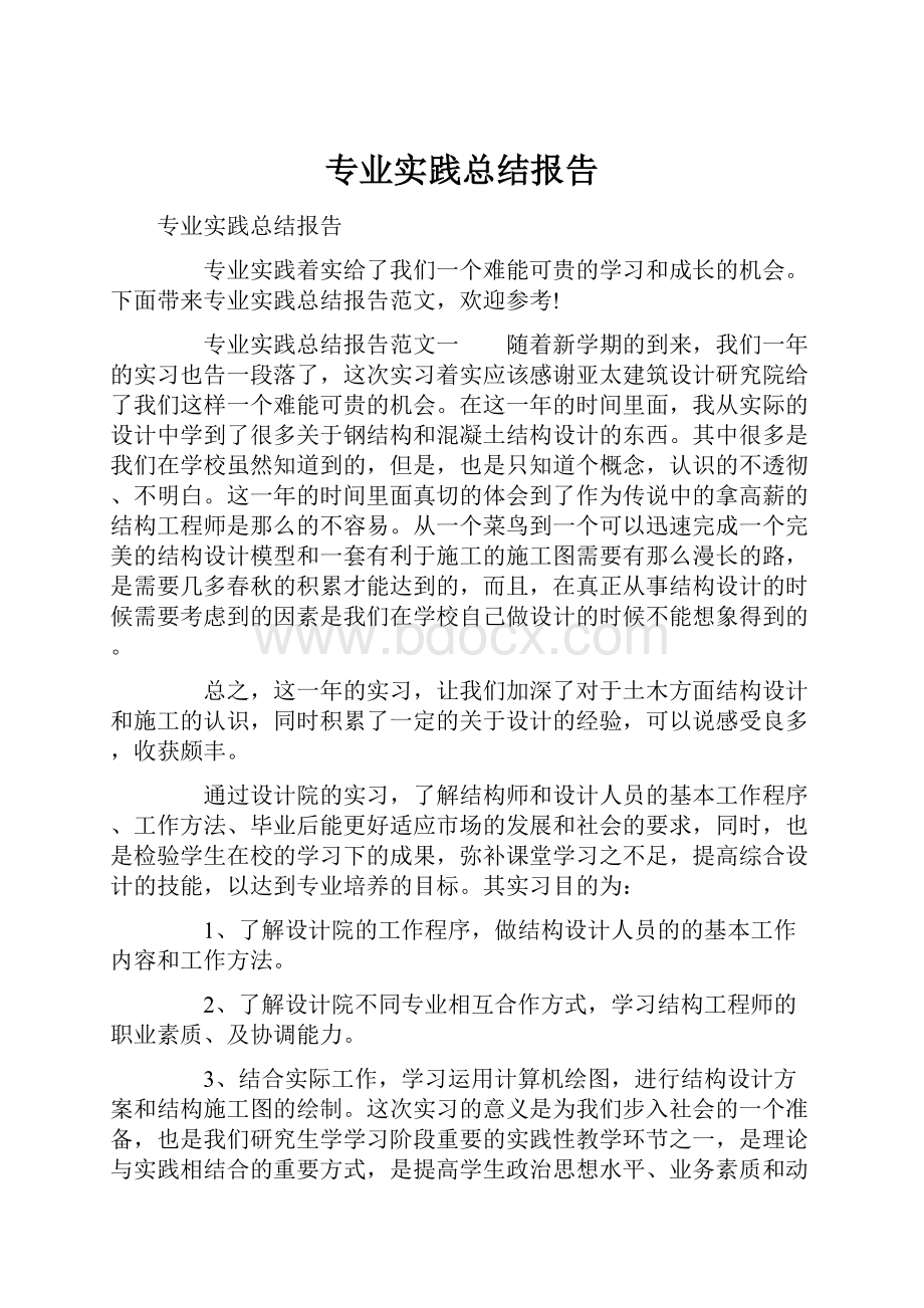 专业实践总结报告.docx_第1页