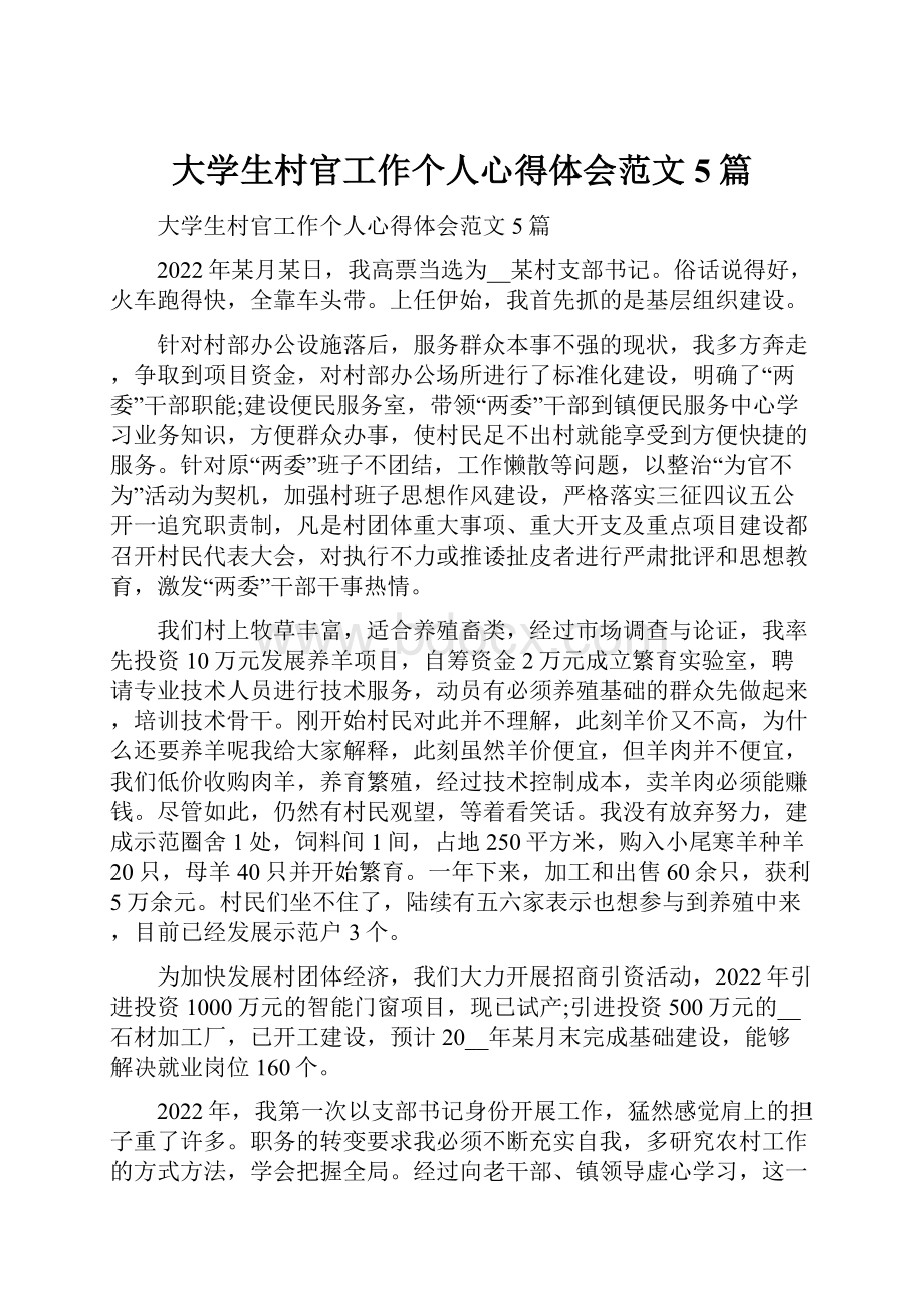 大学生村官工作个人心得体会范文5篇.docx