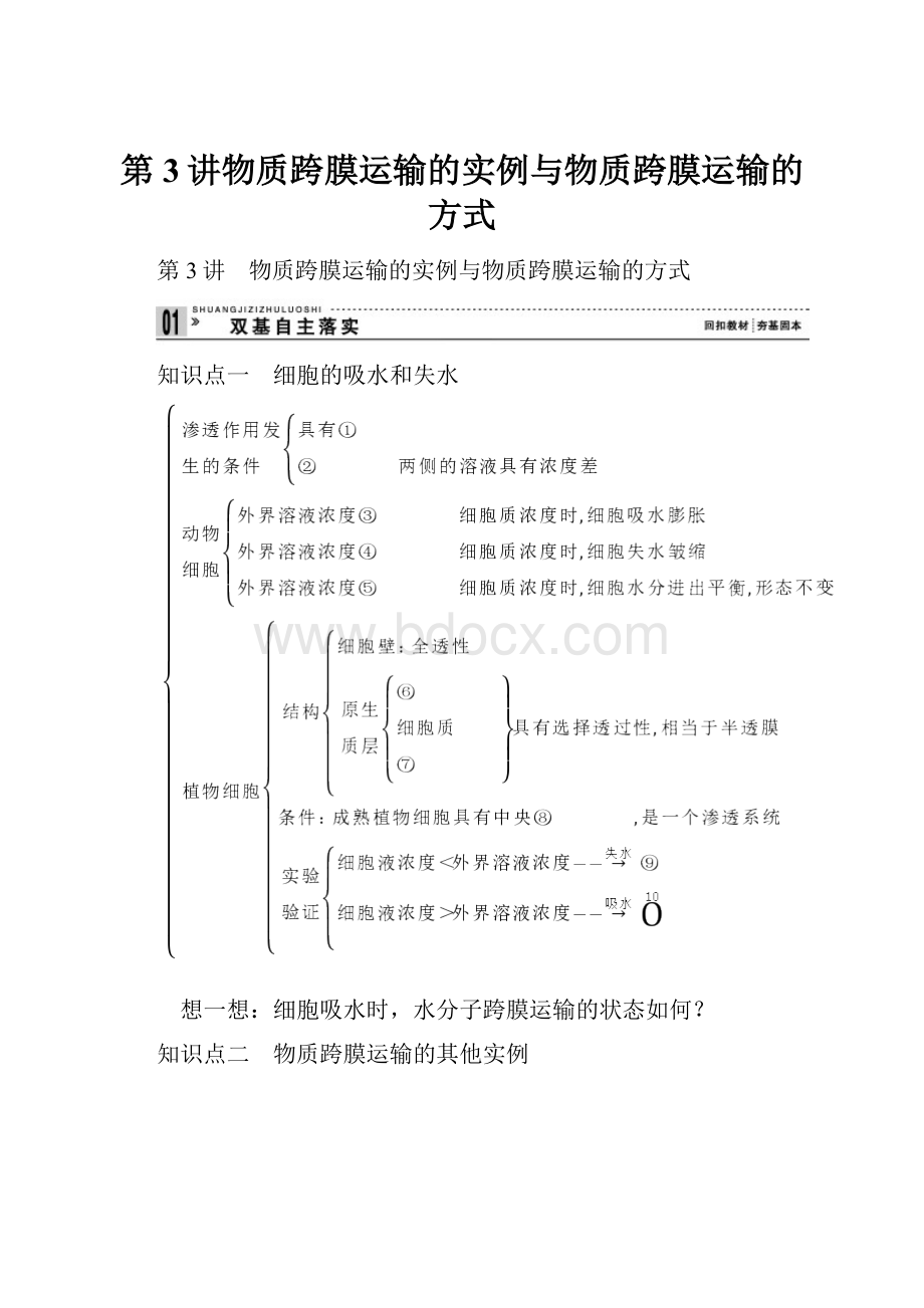 第3讲物质跨膜运输的实例与物质跨膜运输的方式.docx_第1页