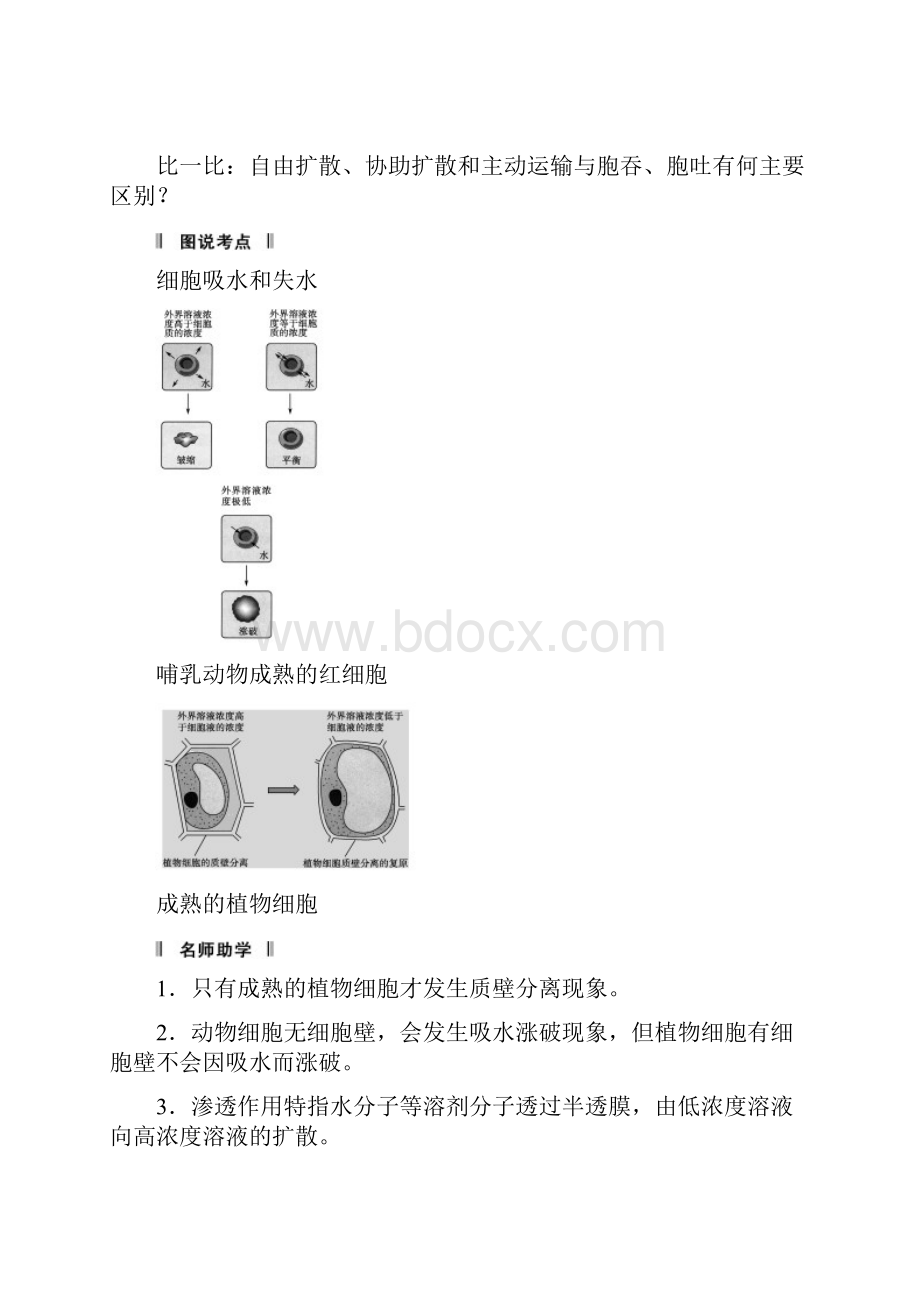 第3讲物质跨膜运输的实例与物质跨膜运输的方式.docx_第3页