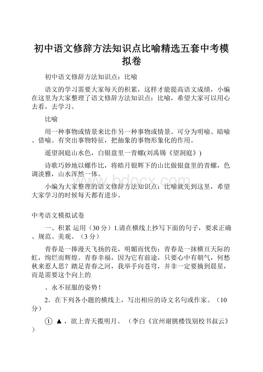 初中语文修辞方法知识点比喻精选五套中考模拟卷.docx