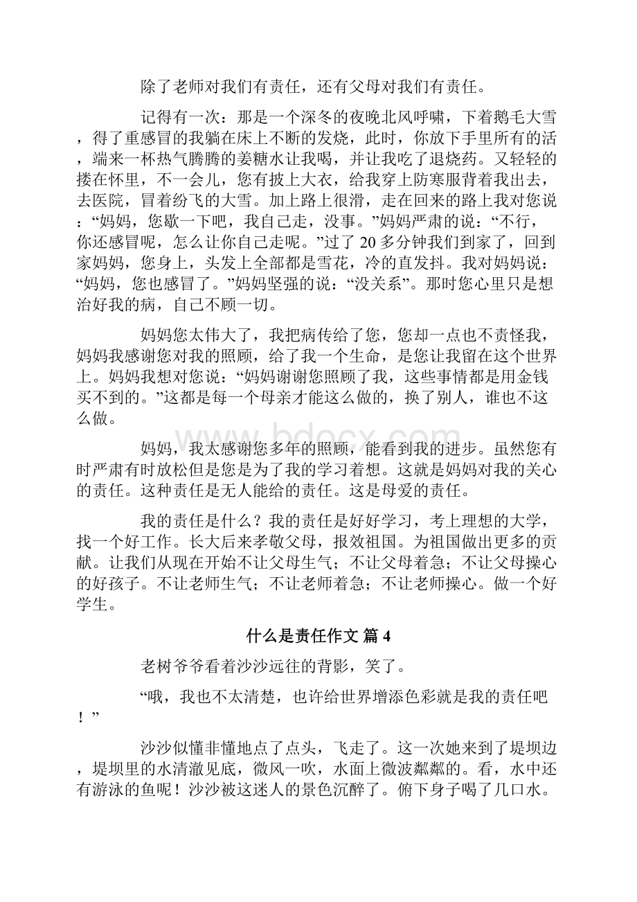 关于什么是责任作文合集7篇.docx_第3页