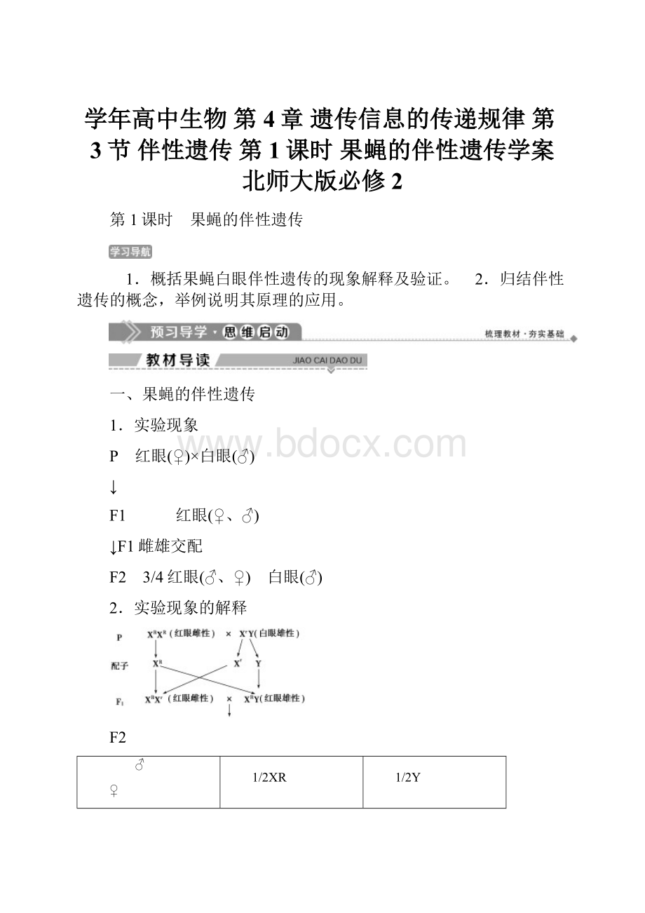学年高中生物 第4章 遗传信息的传递规律 第3节 伴性遗传 第1课时 果蝇的伴性遗传学案 北师大版必修2.docx