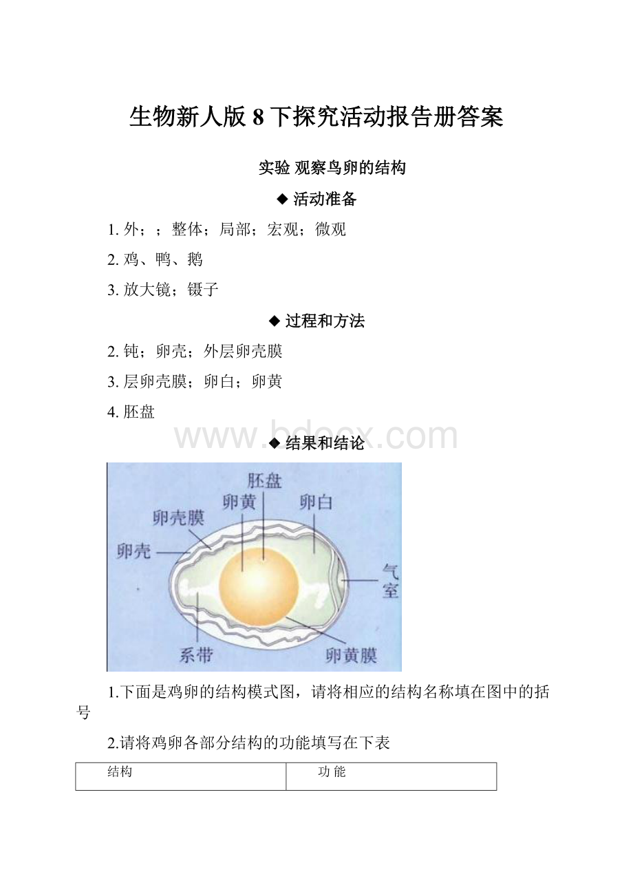 生物新人版8下探究活动报告册答案.docx