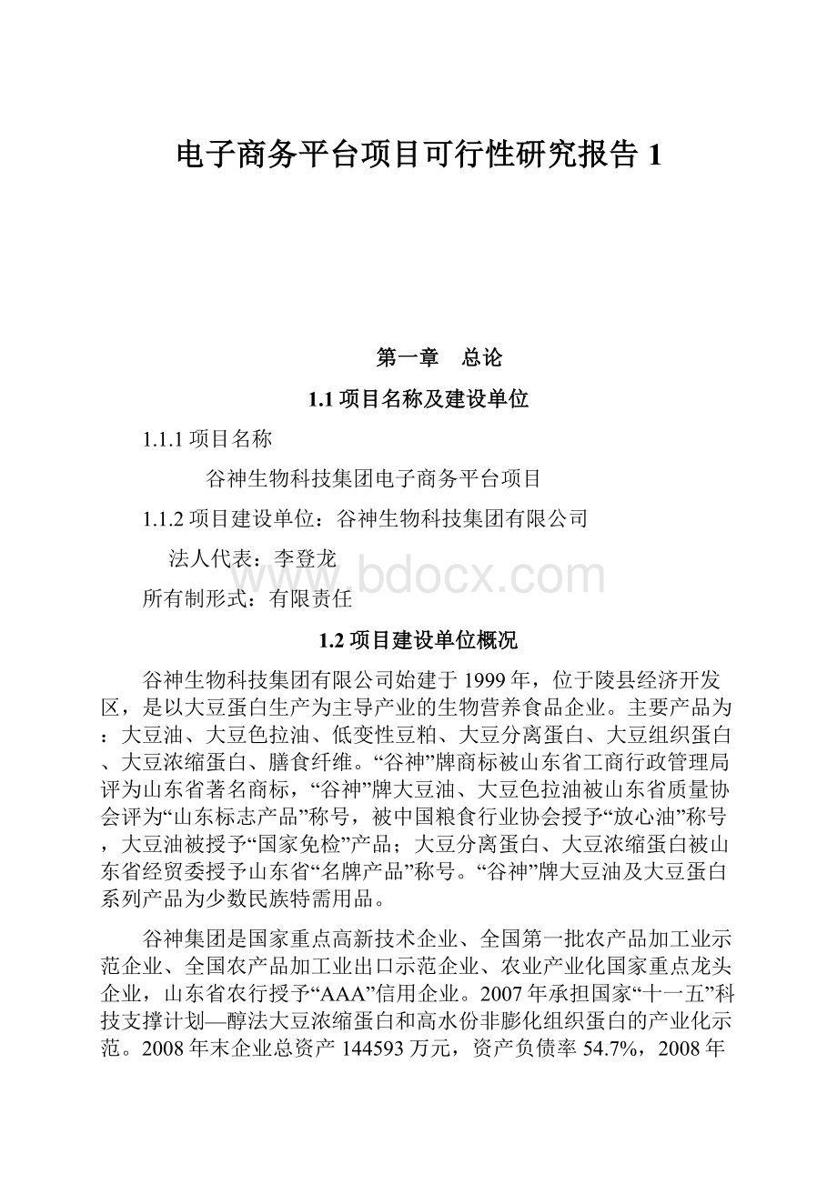 电子商务平台项目可行性研究报告 1.docx