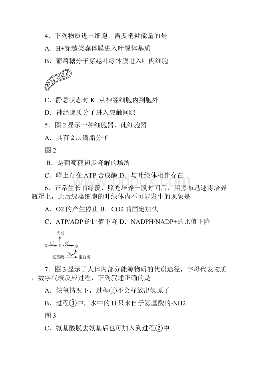 上海市虹口区高三上学期期末教学质量监控测试生命科学试题.docx_第2页