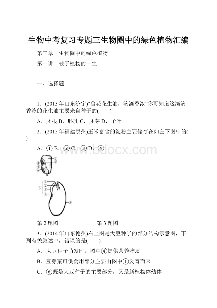 生物中考复习专题三生物圈中的绿色植物汇编.docx_第1页